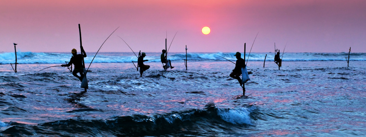 shutterstock_266039048 fishers